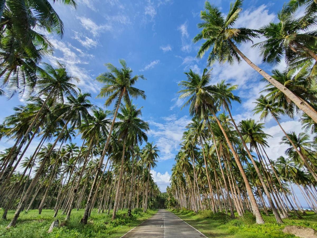 Coleto Siargao Bed & Breakfast San Isidro  Ngoại thất bức ảnh