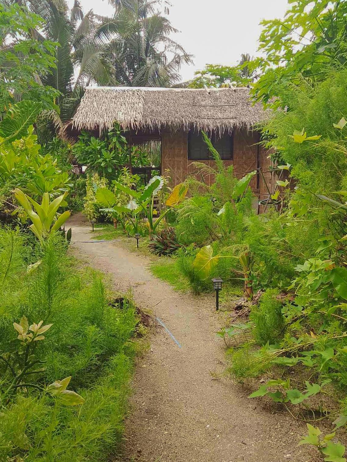 Coleto Siargao Bed & Breakfast San Isidro  Ngoại thất bức ảnh