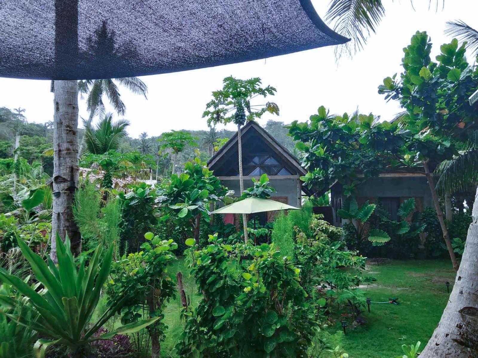 Coleto Siargao Bed & Breakfast San Isidro  Ngoại thất bức ảnh