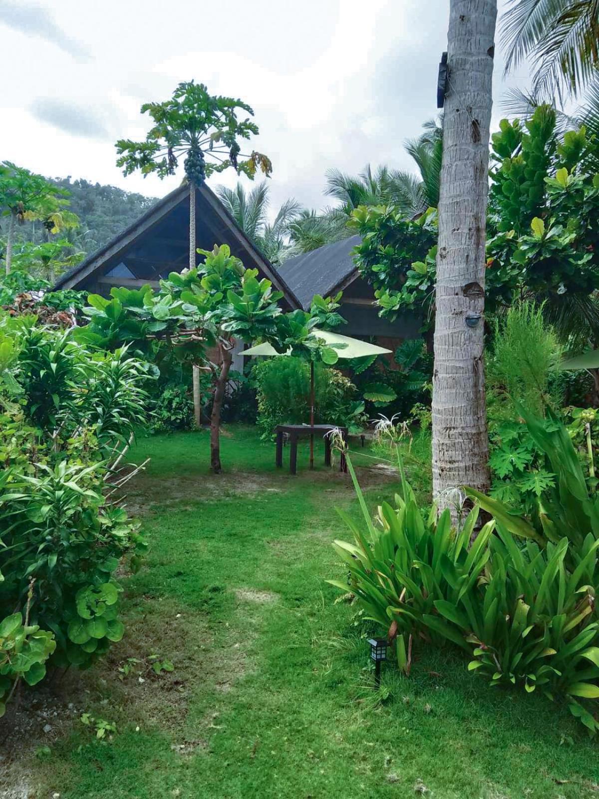 Coleto Siargao Bed & Breakfast San Isidro  Ngoại thất bức ảnh