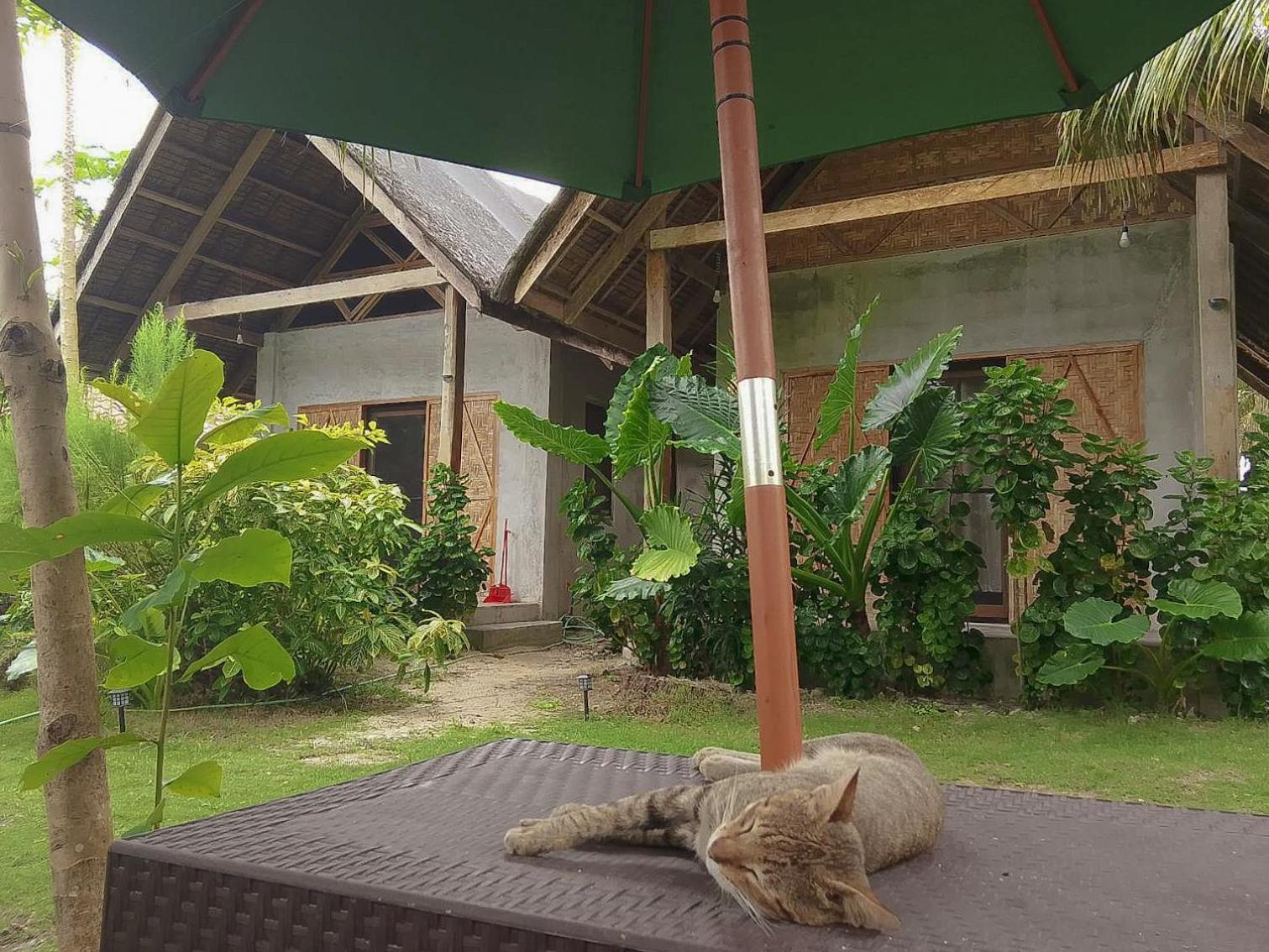 Coleto Siargao Bed & Breakfast San Isidro  Ngoại thất bức ảnh