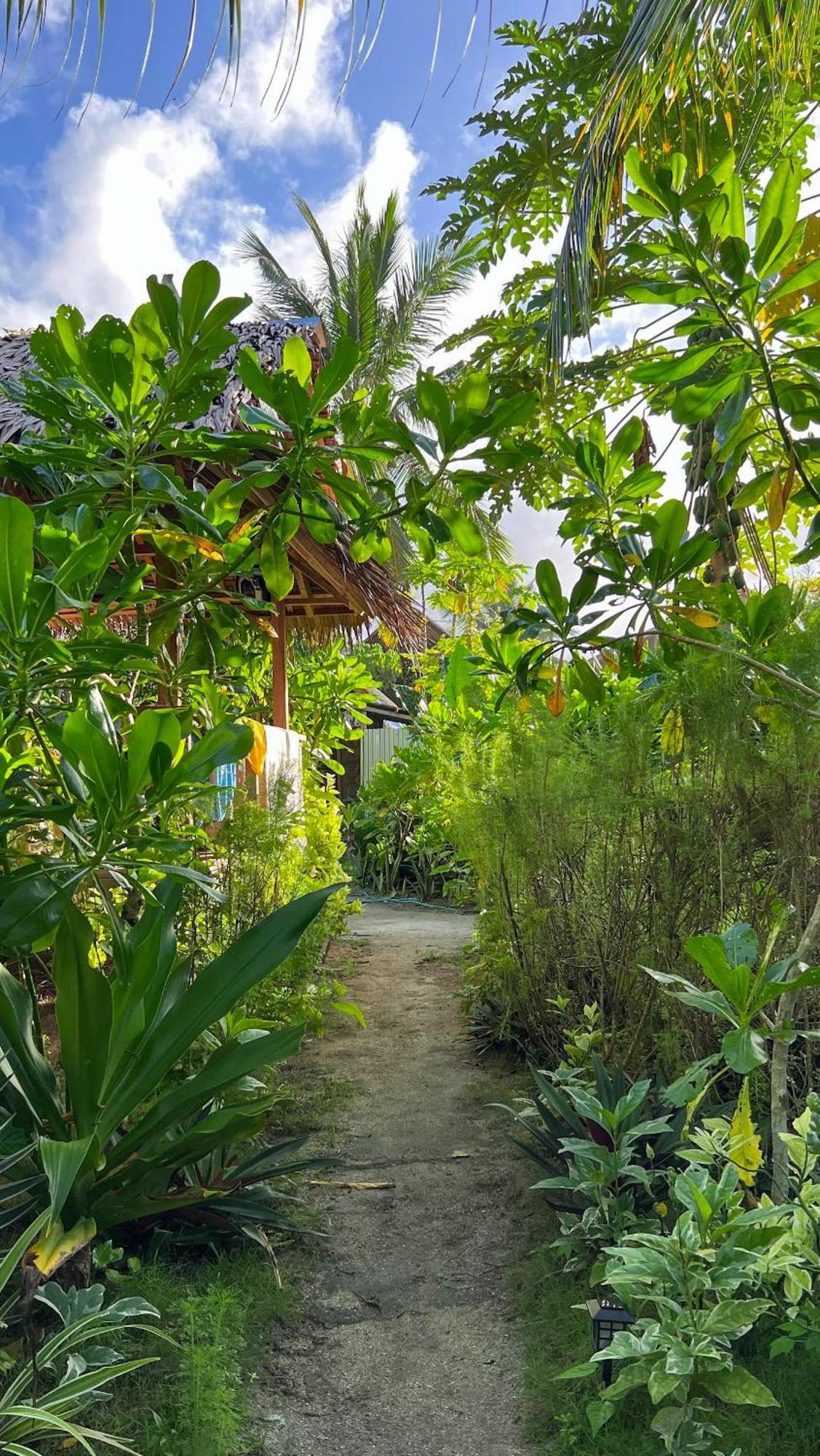 Coleto Siargao Bed & Breakfast San Isidro  Ngoại thất bức ảnh