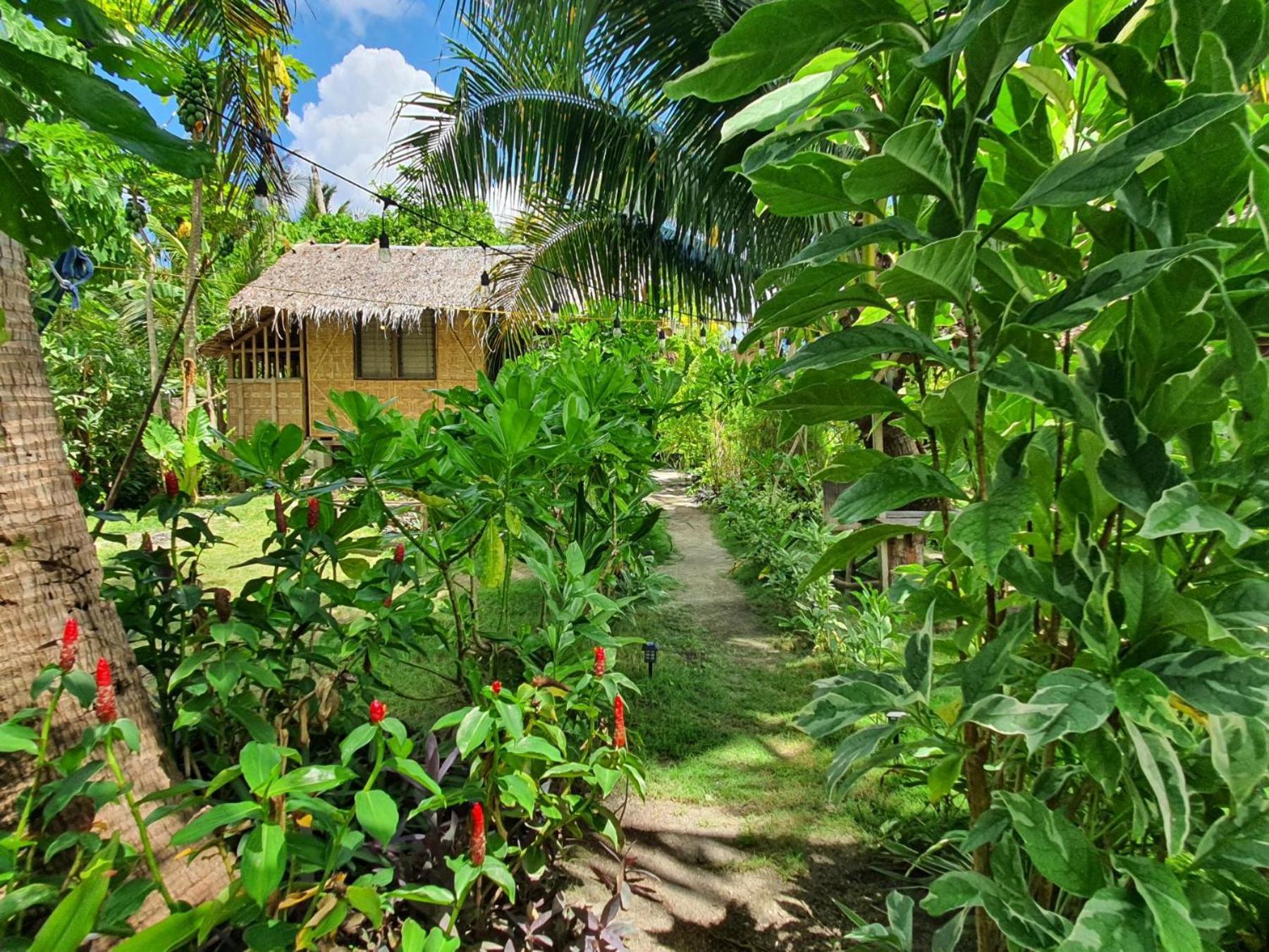 Coleto Siargao Bed & Breakfast San Isidro  Ngoại thất bức ảnh