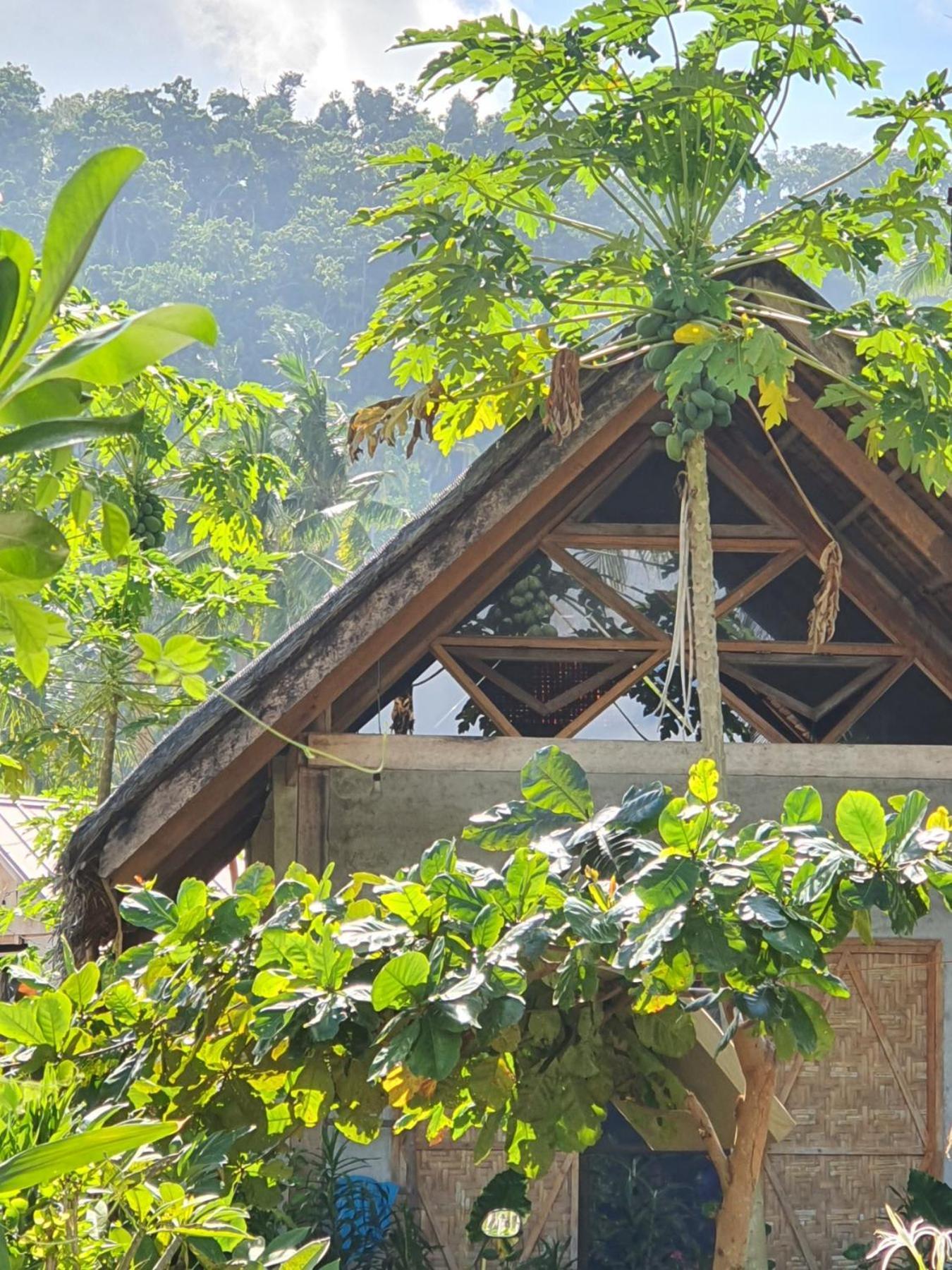 Coleto Siargao Bed & Breakfast San Isidro  Ngoại thất bức ảnh