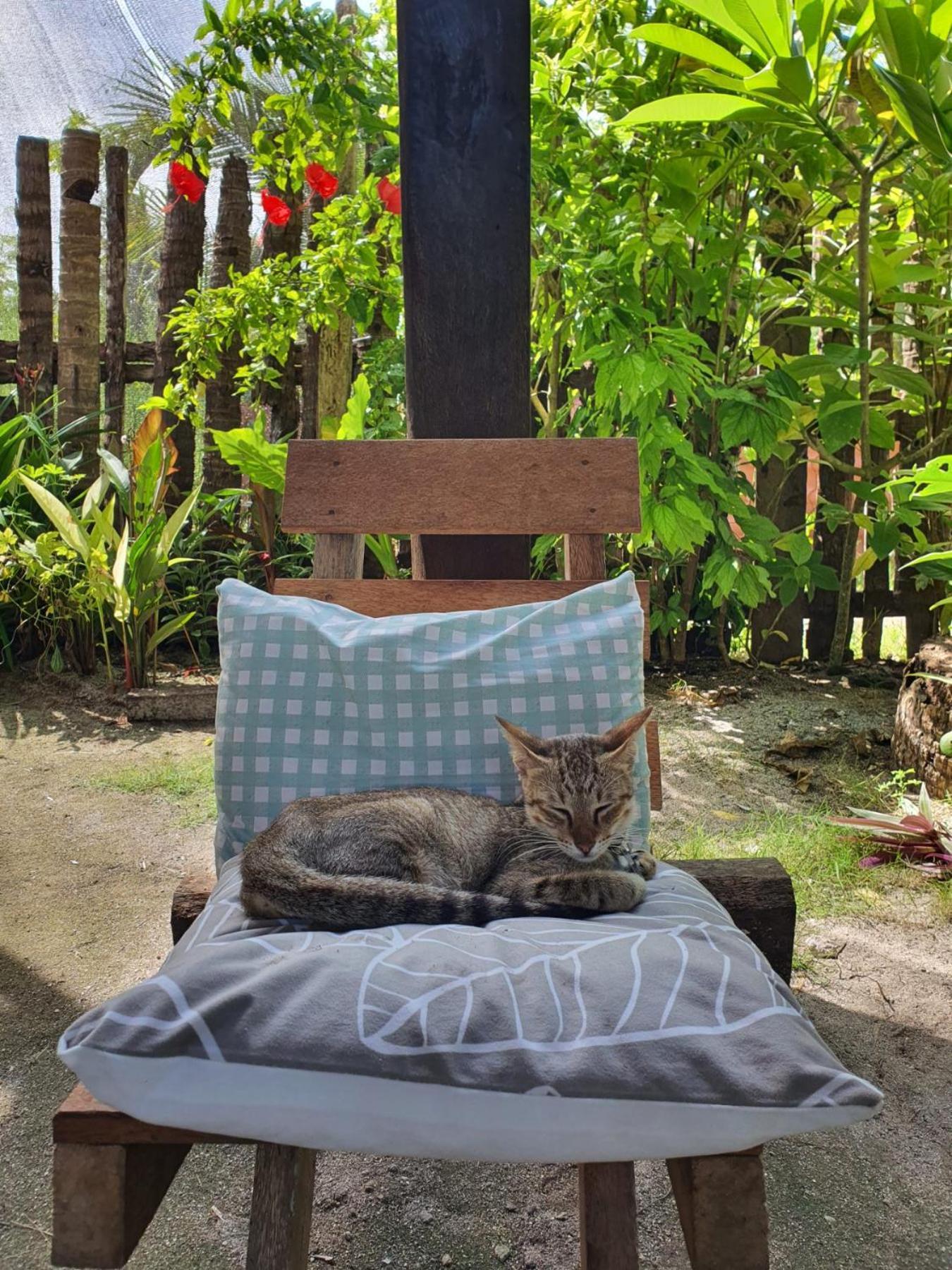 Coleto Siargao Bed & Breakfast San Isidro  Ngoại thất bức ảnh